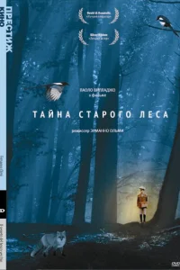 Тайна старого леса Тайна старого леса