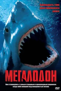 Мегалодон Мегалодон