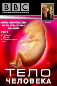 BBC: Тело человека BBC: Тело человека