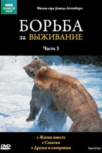 BBC: Борьба за выживание BBC: Борьба за выживание