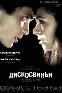 Дискосвиньи Дискосвиньи