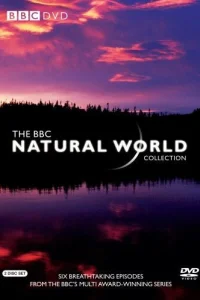 BBC: Живой мир BBC: Живой мир