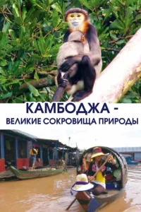 Камбоджа - великие сокровища природы Камбоджа - великие сокровища природы