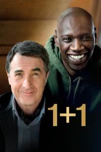1+1 1+1