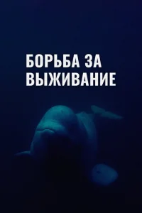Борьба за выживание Борьба за выживание