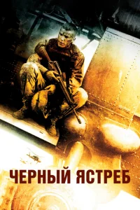 Черный ястреб Черный ястреб