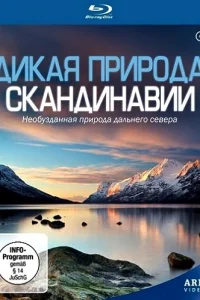 Дикая природа Скандинавии Дикая природа Скандинавии