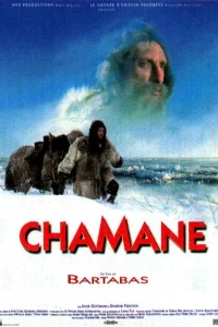 Шаман Шаман