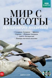 Мир с высоты птичьего полета Мир с высоты птичьего полета