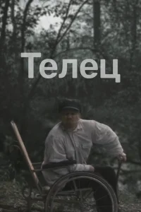 Телец Телец
