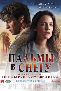 Пальмы в снегу Пальмы в снегу