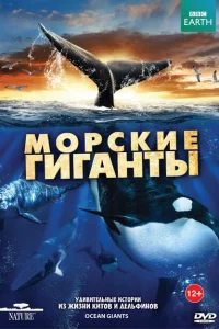 BBC: Морские гиганты BBC: Морские гиганты