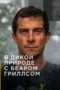 В дикой природе с Беаром Гриллсом В дикой природе с Беаром Гриллсом