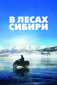 В лесах Сибири В лесах Сибири