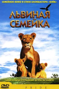 Львиная семейка Львиная семейка