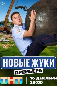 Жуки Жуки
