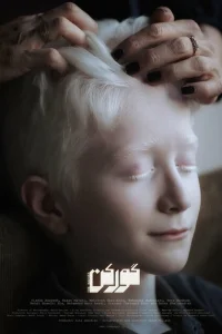Барсук Барсук