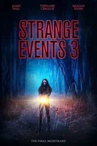 Странные дела 3 Странные дела 3