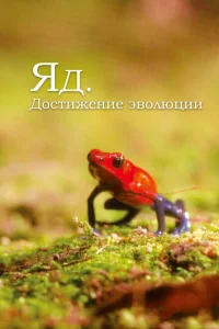 Яд. Достижение эволюции Яд. Достижение эволюции