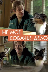 Не моё собачье дело Не моё собачье дело